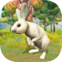 宠物兔模拟器iOS版2022